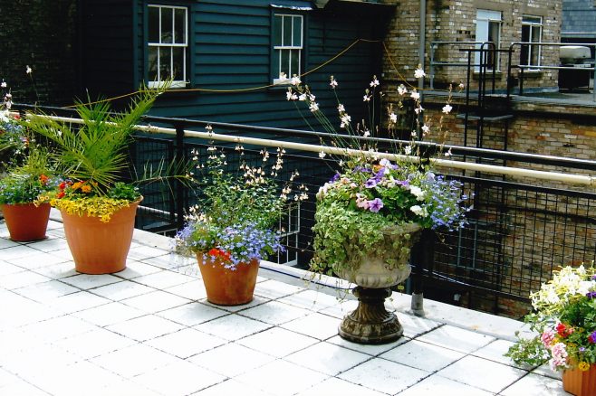 Robert Sayle roof garden at St Andrew's Street