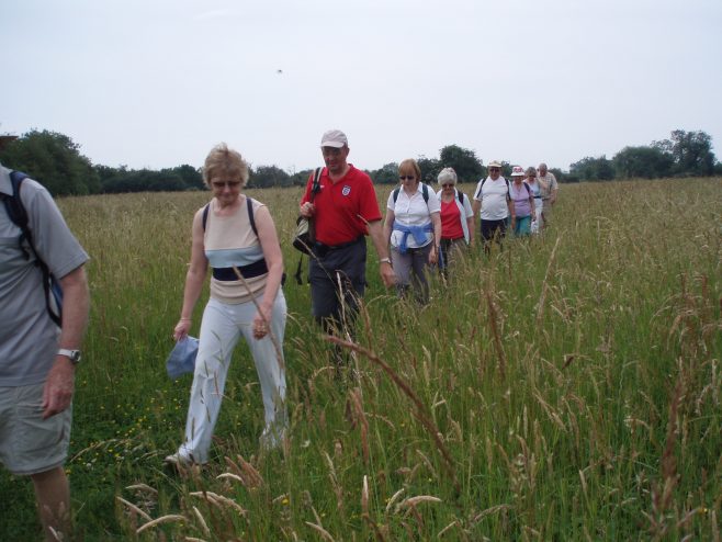 Robert Sayle Rambling Club walking through a meadow on the way to Madingley.