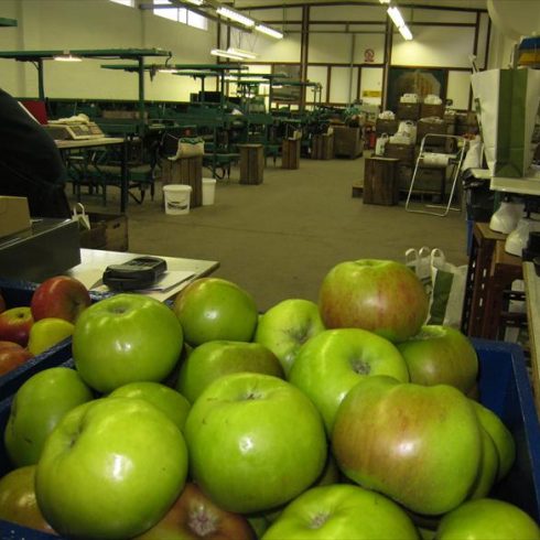 Leckford Apples at the fruit farm store