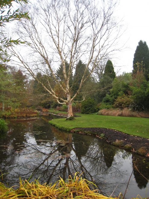 Longstock water gardens belonging to the John Lewis Partnership visited by the Rambling club while staying at Leckford.