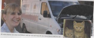 Kitten discovery is van-tastic Kitten discovery is van-tastic