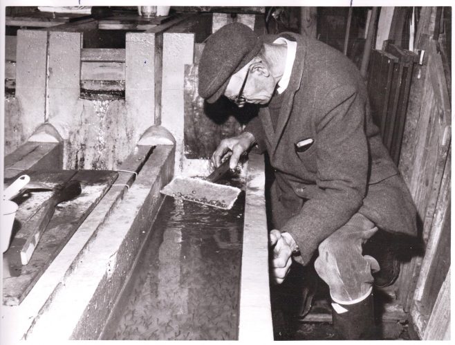 Mr Mott 1965, head river keeper at Leckford, in the trout hatchery | C E Wardell